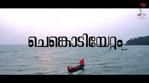 #CPIM 23rd Party Congress -Signature song #Chenkodiyettam #CPIM23rdPartyCongress | Comrade