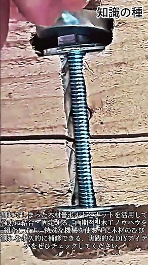 割れた木材をボルトで固定する方法 #woodworking #diy #repair #carpentry #handyman