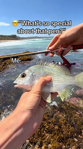 Pen Rod™ on TikTok