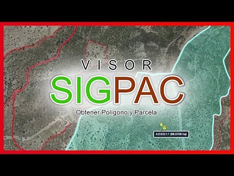 Visor SIGPAC Obtener Polígono y Parcela