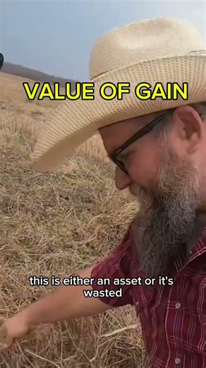 Backgrounding Doesn’t Create Profit ($168 Difference Explained)