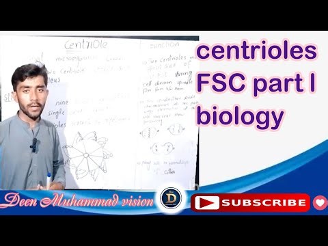 Centriole | FSc Part 1 Biology | Cell Organelles | Important for MDCAT & Board Exams