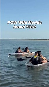 Your next adventure is right around the corner in Shell Key! ☀️🐬