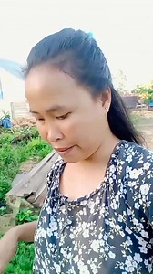 30K views · 1.1K reactions | Pagi 2 suda basahw kyup gara2 cari syur | Elsa Elsa | Facebook