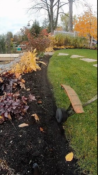 Transform Your Lawn Like a Pro: Easy Tips That Work