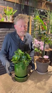 🌿 Glaseret vs. ler – hvad er egentlig bedst for dine planter? 🪴 Hos os finder du de smukke og populære potter fra Bergs Potter – både med og uden glasur. Men hvad er forskellen egentlig? ✨ Glaseret potte: Smuk, blank overflade – perfekt til et moderne look og holder på fugten. 🌱 Uglaseret lerpotte: Åndbar og naturlig – lader jorden ånde og giver dine planter de allerbedste levevilkår. Mange af vores kunder vælger de uglaserede potter – og det forstår vi godt 💚 📍 Kig forbi hos By Hansen, Øst