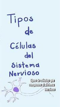 Tipos de células del cerebro y su función