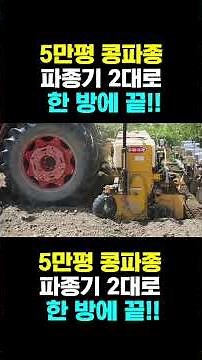 [한국농수산TV] 5만평 콩농사, 파종기 2대로 끝냈다!!