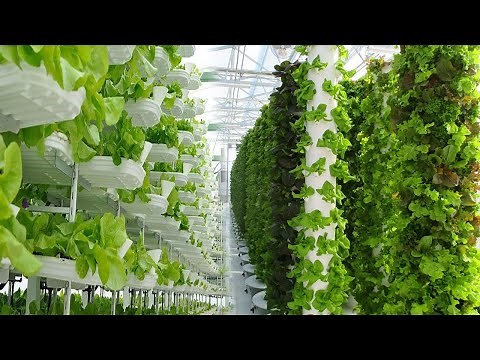 Extremely High-Tech Indoor Farming Is On The Rise Now