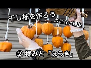 ②干し柿を作ろう！揉みとホウキ、カビない理由