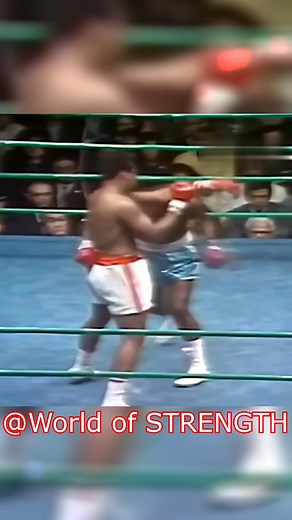 Muhammad Ali vs Mac Foster #knockout #muhammadali #boxing | World of Strength Boxing