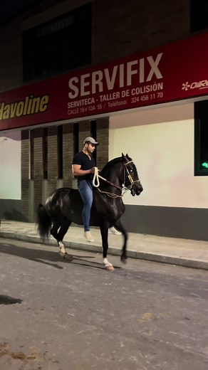 Ay Caballo: Corridos From Mexico and Colombia