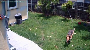 Watch Good Camera recording example on Amazon Live