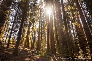 Sequoia National Park Guide: Hikes, Caves, Trees & Lodges - California Through My Lens