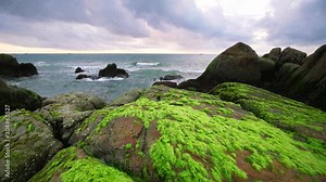Time Lapse Green algae on rocks in the beach the dawn with dramatic sky to welcome the new day