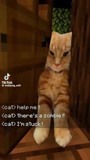 help me #funny #meme #memes