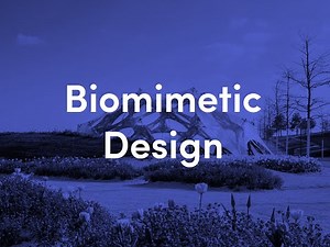 Biomimetic Design | urbanNext Lexicon