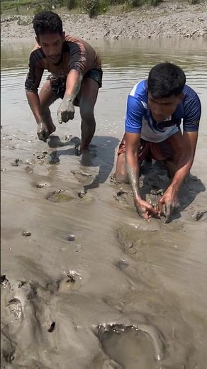 Digging the muddy riverbank to catch hidden crabs – a true village survival skill! 🦀 #fishing #reels