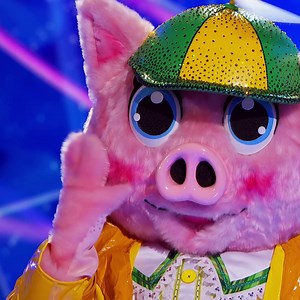 119K views · 1.6K reactions | Do you agree with the panels' guesses for The Piglet? | The Masked Singer | Facebook