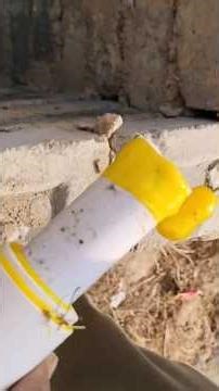 cpvc pipe inlet install with moter pipe line installation#plumbingshorts#plumbingvideos#shortsreel👍