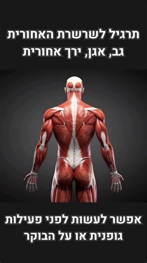 הנה תרגיל לשחרור וחימום השרשרת האנטומית האחורית של הגוף - בעיקר גב תחתון, אגן וירך אחורית טוב לבצע אותו גם בבוקר כשקמים והכל נוקשה וכואב, וגם לפני אימון או פעילות גופנית! ממליץ לבצע 10-20 חזרות, 3 סטים * המציג אינו פיזיותרפיסט #גבתחתון #גמישות #תרגילים #טיפים #בריאות