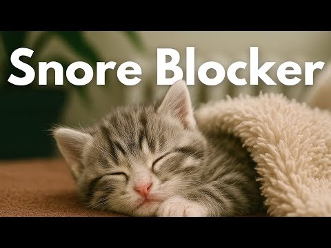 Snore Blocker | 10 Hours | Black Screen | Drown Out Loud Snoring & Sleep Peacefully