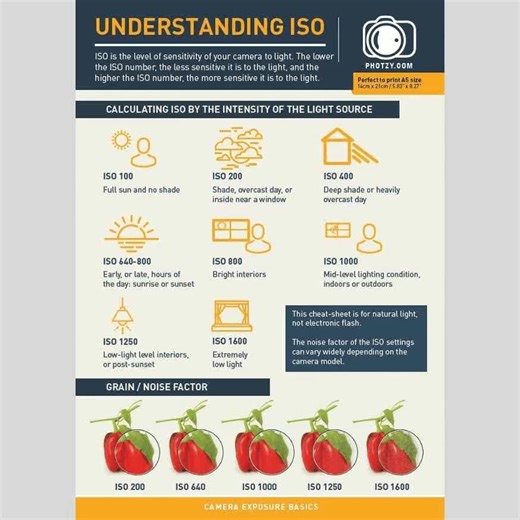 872 reactions · 79 shares | !! ATTENTION PHOTOGRAPHERS !! Do you prefer to learn by doing? Grab the Snap Cards: Essentials – A new selection of 20 printable key photography cheat sheets to help you learn and master photography on-the-go. If you missed your copy the last time, they are available again and on sale right now for a limited time offer of $7. | Photzy | Facebook