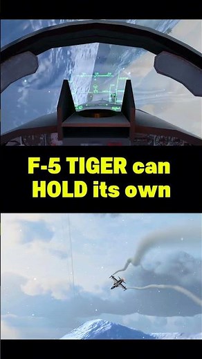F-5 Tiger can BEAT 5th Gen fighters