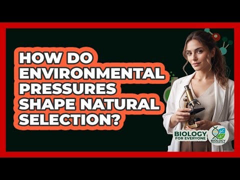 How Do Environmental Pressures Shape Natural Selection?