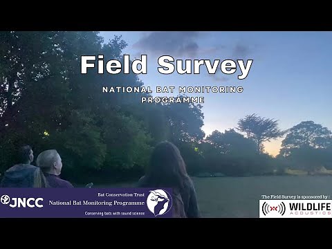 Field Survey - National Bat Monitoring Programme