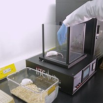 Video: Establishing a Mouse Model of a Pure Small Fiber Neuropathy with the Ultrapotent Agonist of Transient Receptor Potential Vanilloid Type 1