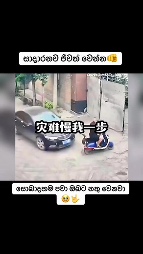 2.2M views · 3K reactions | Udaya Gamage on Reels | Facebook