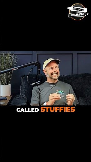 Stuffies: How We Got on Target with a TV Jingle! #shorts