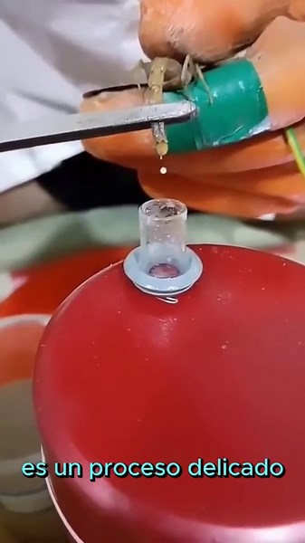 The process of extracting venom from scorpions is called "milking" and is used to make antivenom..