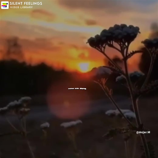 174K views · 10K reactions | I wish I could delete distance between us ❤️ | Silent Feelingsツ | Facebook