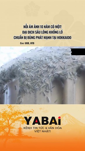 Xem mà nổi da gà da ốc @@! | YABAI