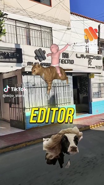 #humortiktok #mijolovers #tacna #tacna_peru🇵🇪 #mijostore