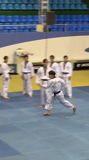 Kukkiwon Demonstration Team Wooden Board ASMR🎙️