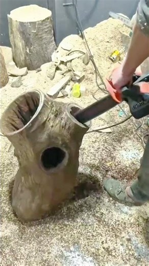 hollowing out a large wooden tree trunk using a powerful electric chainsaw to create a deep cavity