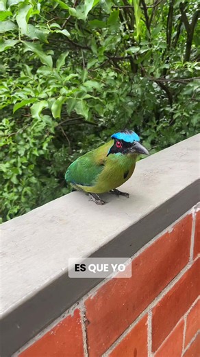 Buenas tardes - saludo en español