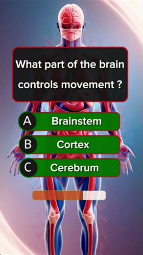 what part of the brain control movement? #brain #facts #gk #gkfacts #trivia #trip #content #anatomy