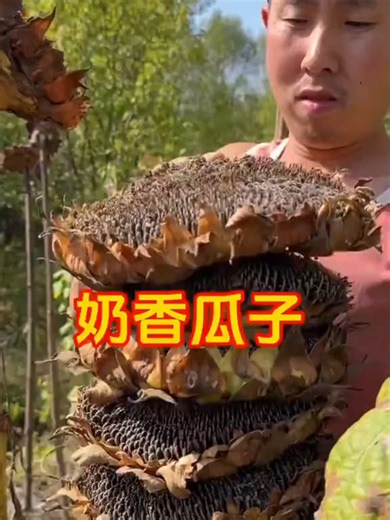 #mrbiao #biao #chinesefood #life #vlog