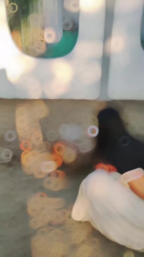 Engaging Moments with a Dog: Playtime and Interaction