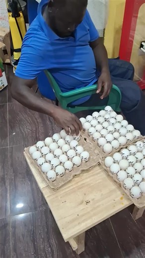 Beginner's Guide to Duck Farming and Incubation