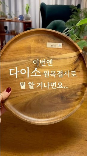 이번엔 다이소 원목접시로 뭘 할 거냐면요 #플랑트 #plante #플랜테리어 #diy #다이소