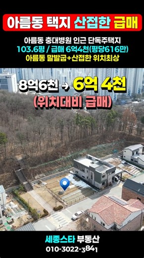 [급매] 세종시 아름동 단독주택지 프라이빗한 단독 산조망