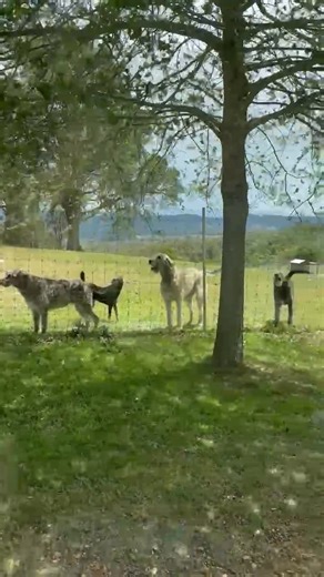 Mums home !! | Rona Moss