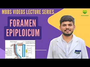 Foramen Epiploicum (Foramen of Winslow) | Boundaries, Contents & Clinical Anatomy | Pulse Academy