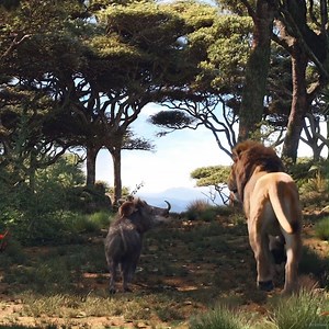 6K views · 182 reactions | The soundtrack to The Lion King is finally here!! With new songs by Beyoncé, Elton John and Tim Rice and a score composed by Hans Zimmer, we won't be listening to anything else all week 女女 https://VA.lnk.to/TheLionKing | Universal Music Ireland | Facebook