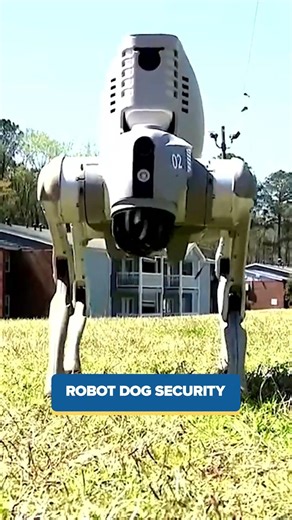 TSA long lines, robot dog stops crime and sinkhole discovery | Morning Minute